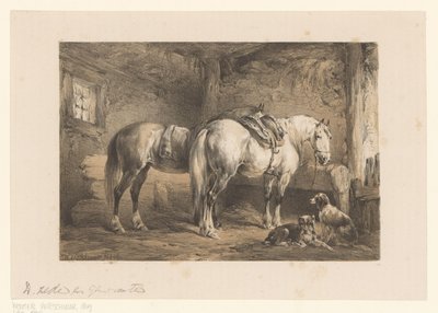 Deux chevaux et chiens dans une étable - Wouter  Verschuur