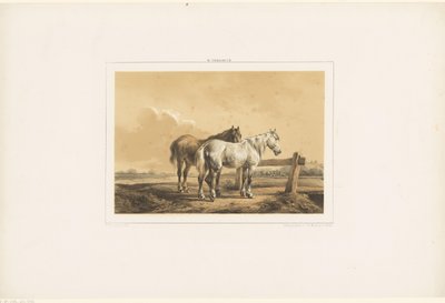 Deux chevaux dans un pré près d