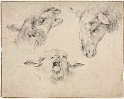 Têtes de moutons, deuxième ou troisième quart du 19e siècle - Wouterus Verschuur