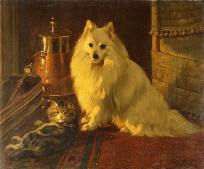 Meilleurs Amis - Wright Barker