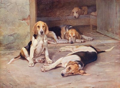 Jours de chiot - Wright Barker