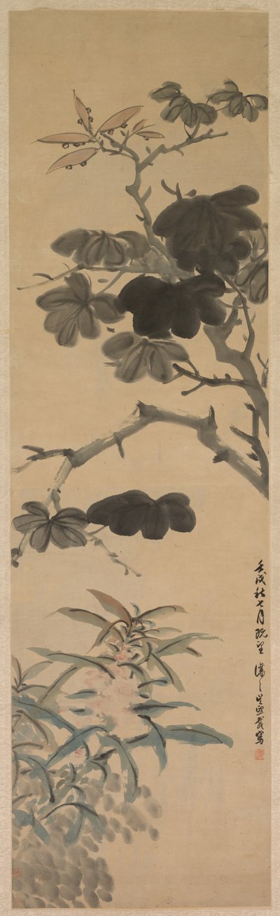 Plantes à Fleurs - Wu Rangzhi