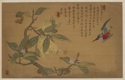 Oiseau, Fruit et Fleurs - Wu Zhang