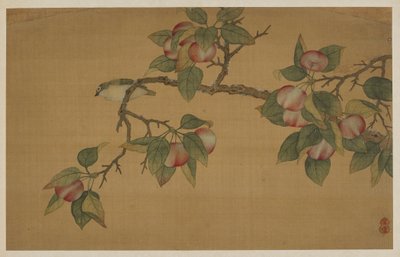 Oiseau et fruit, dynastie Qing, 1741 - Wu Zhang