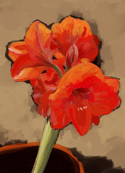 Floraison vibrante d
