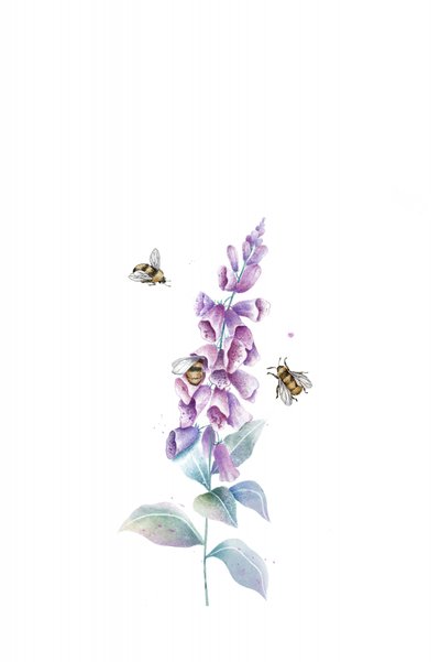 Abeilles et fleurs à l