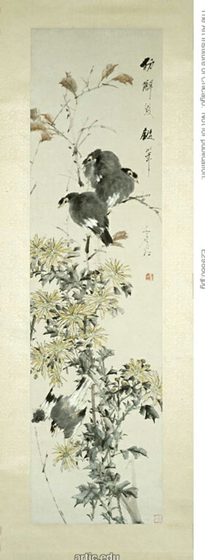 Myna huppé Oiseaux et chrysanthèmes - Xugu