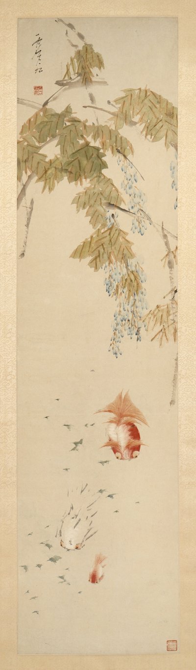 La glycine et le poisson rouge 紫藤金魚圖 - Xugu