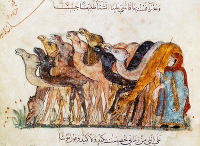Ms Ar 5847 f.101, troupeau de chameaux, d