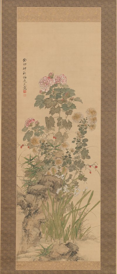 Fleurs d