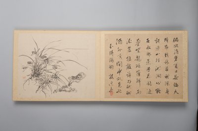 Élégance raffinée dans les quatre saisons Shiji seiga, Album de peintures de fleurs - Yamamoto Baiitsu