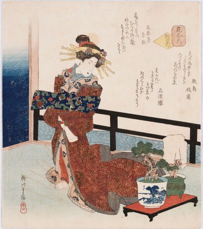 Miyako no hana "Fleur de la capitale", terme utilisé pour désigner des acteurs célèbres, courtisanes ou célébrités, illustrant une courtisane debout près d