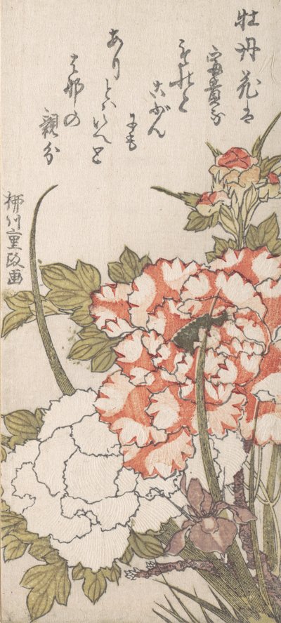 Pivoines et iris - Yanagawa Shigemasa
