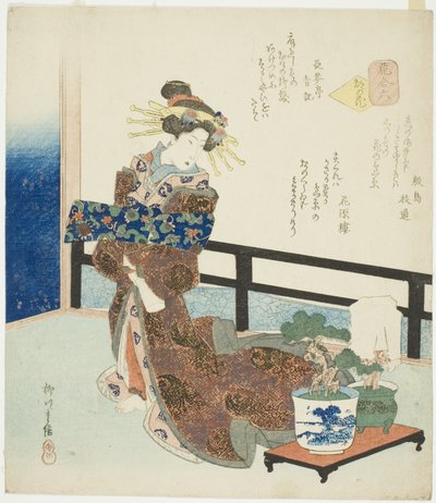 N° 6 : Fleur de la capitale (Miyako no hana), de la série "Une comparaison de fleurs (Hana awase)" - Yanagawa Shigenobu II