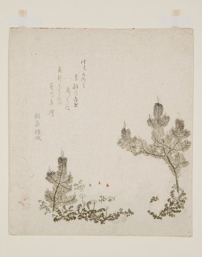 (impression sur bois en couleur) - Yashima Gakutei