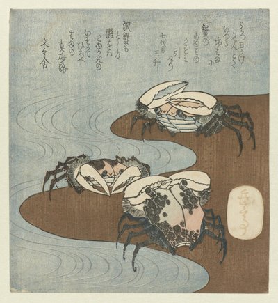 Crabes au bord de l