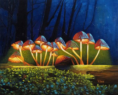 Champignons lumineux de nuit, 2023 - Yue Zeng