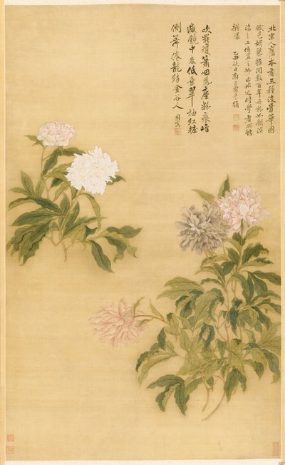 Pivoines - Shouping Yun