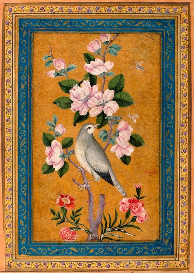 Oiseau perché sur une branche en fleurs, 1696 - Yusuf Zaman