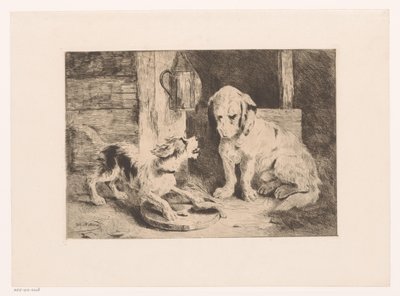 Deux chiens près d