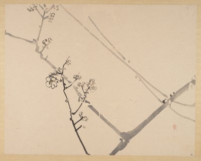 Peinture - Zeshin Shibata