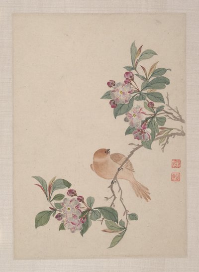 Oiseaux, insectes et fleurs - Zhai Yi