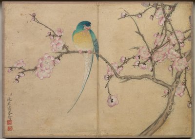 Album de bureau : Peintures de fleurs et d