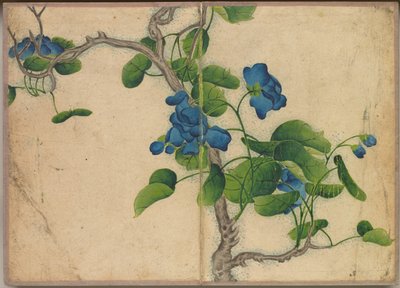 Album de Bureau : Peintures de Fleurs et d