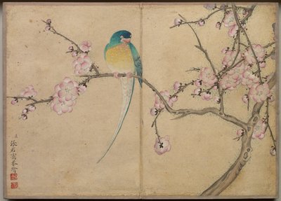 Album de bureau : Peintures de fleurs et d