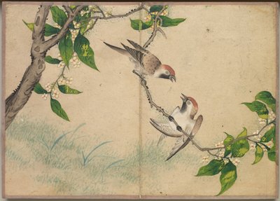 Album de bureau : Peintures de fleurs et d