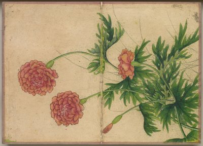 Album de bureau : Peinture de fleurs et d
