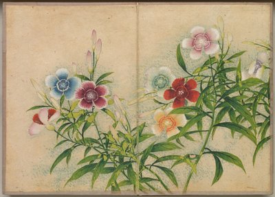 Album de bureau : Peintures de fleurs et d