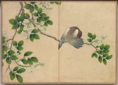 Album de bureau : Peintures de fleurs et d