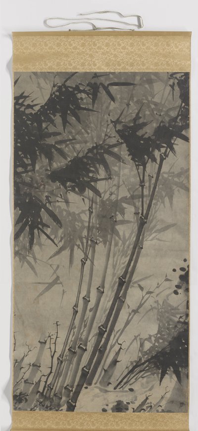 Bambou - Zhengxing (bijnaam Wuzhai)