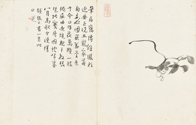 Paysages et fleurs, album de six feuilles - Zhu da Bada Shanren