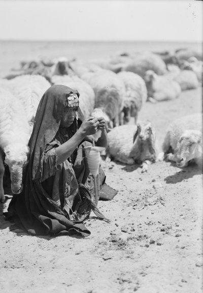 Une jeune bergère bédouine filant près de Beersheba - . .
