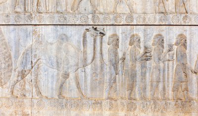 Relief ancien des Achéménides ; délégation des Parthes avec chameau ; Palais Apadana ; site archéologique ; ancienne ville perse Persépolis ; site du patrimoine mondial de l