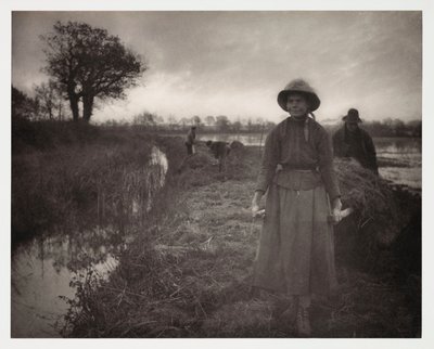 Agriculture arable, Récolte 