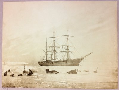 Expédition en Arctique (1875-1876) du capitaine George Nares (1831-1915) : H - Frederick (attr. to) Barnard