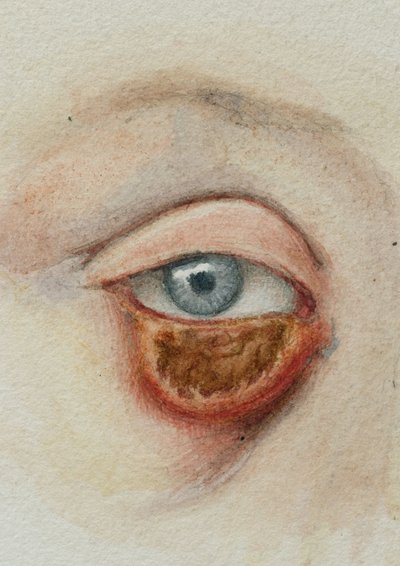 Yeux - Frederick (attr. to) Barnard