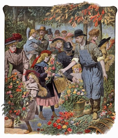 Distribution de fleurs - . .