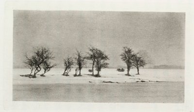 Arbres épineux noueux - Frederick (attr. to) Barnard