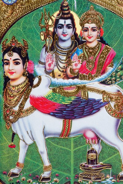 Dieu hindou Shiva et déesse Parvathi - . .
