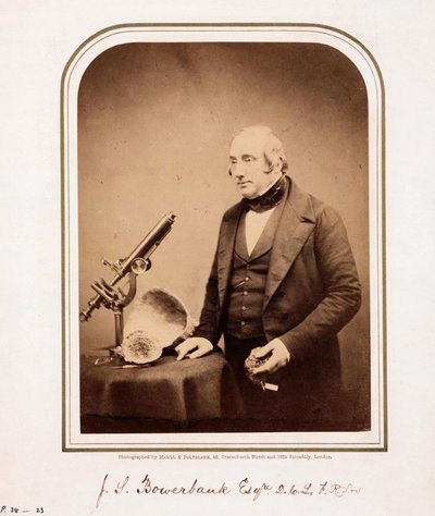 James Scott Bowerbank, géologue britannique - Ferdinand Georg Waldmuller