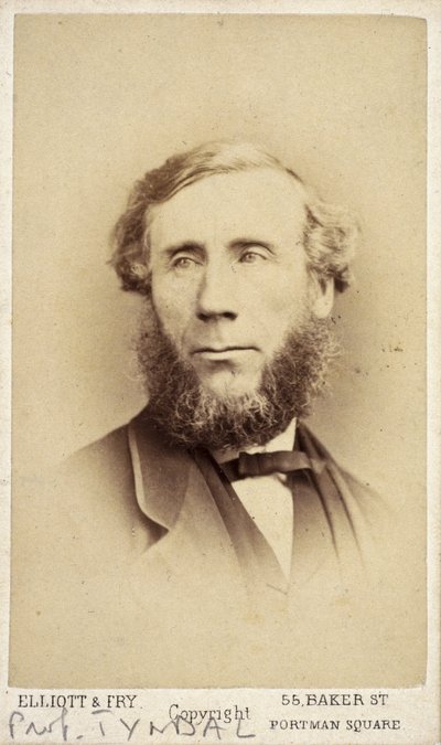 John Tyndall, physicien irlandais, vers 1875 - Frederick (attr. to) Barnard