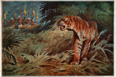 Tigre mangeur d
