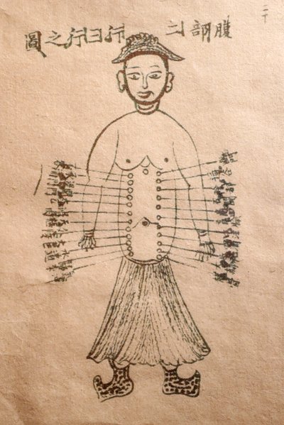 Musée de la Médecine Traditionnelle Vietnamienne, Les canaux et vaisseaux, Livre d