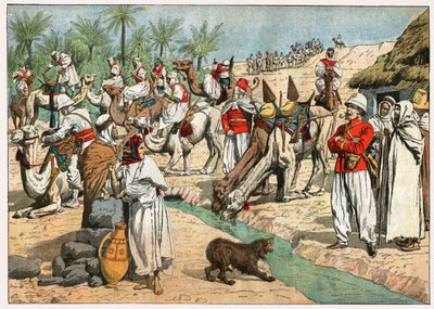 Oasis dans le désert du Sahara - . .