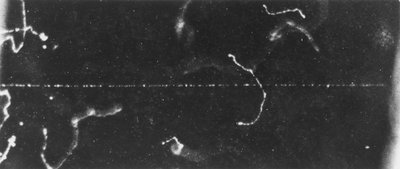 Imagerie des particules, Chambre à brouillard La trace d