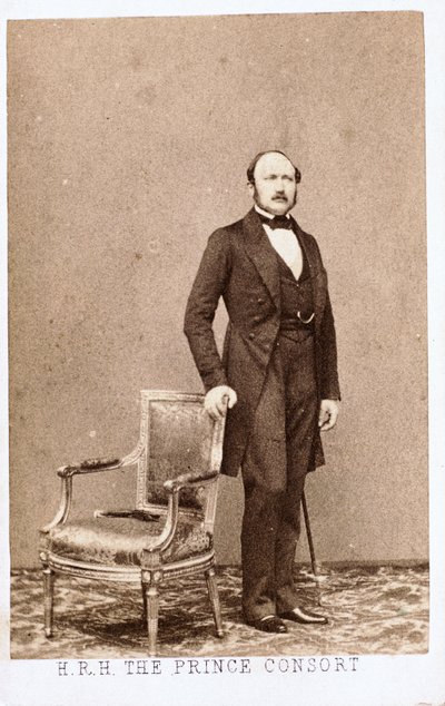 Prince Albert, époux de la reine Victoria, vers 1860 - Frederick (attr. to) Barnard